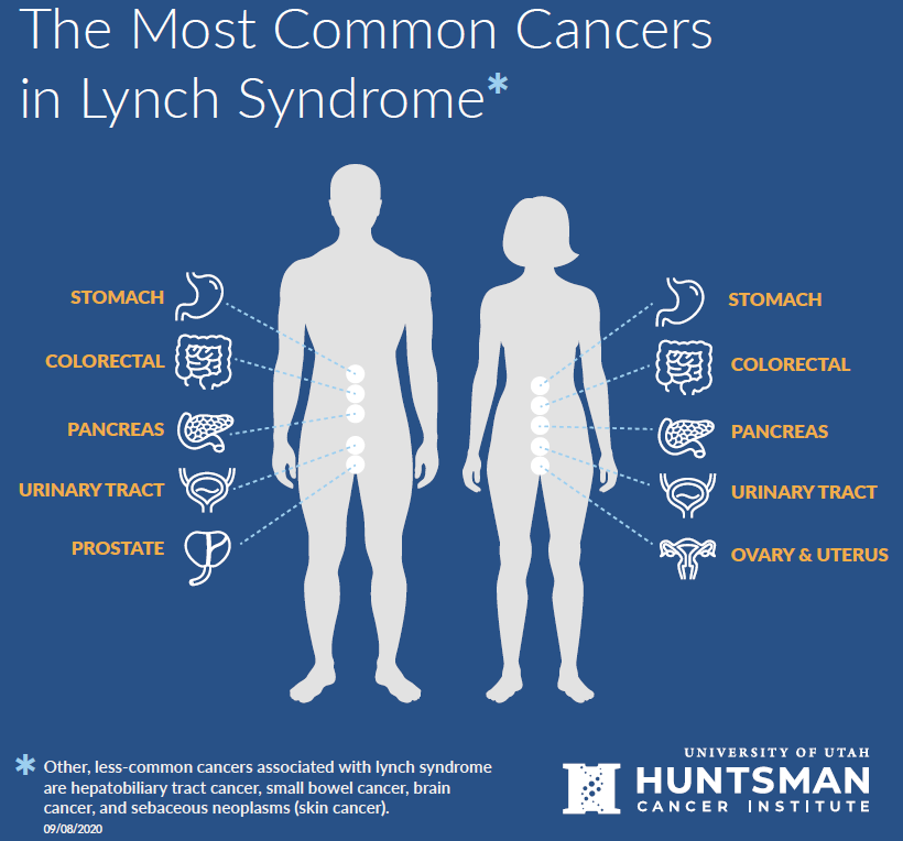 Lynch syndrome cancer risks.PNG